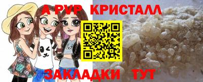 стафф Бердск