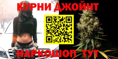 стафф Бердск