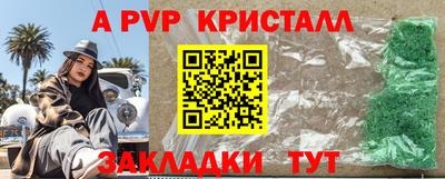 стафф Бердск