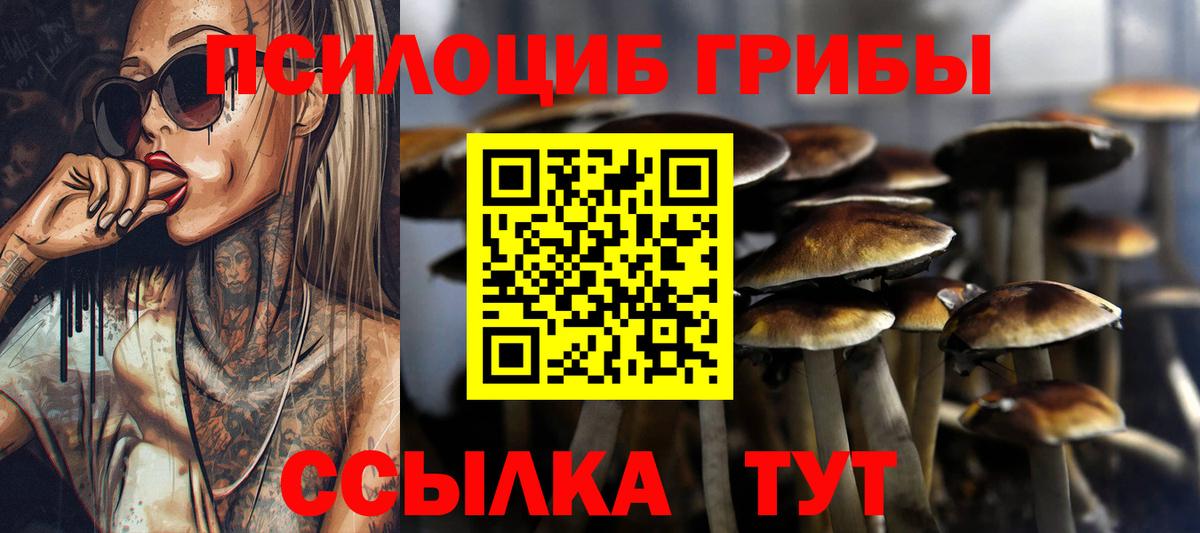 Псилоцибиновые грибы Cubensis  Вход с VPN  Псилоцибиновые грибы Psilocybine cubensis  Губкинский 